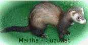 martha_green3.jpg (3123 �o�C�g)