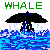 nz_ic_whale.gif (1421 バイト)